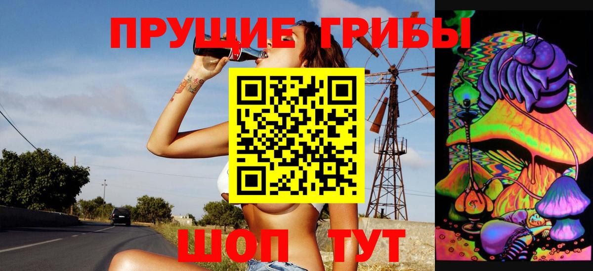 Ростов Великий  Псилоцибиновые грибы мухоморы  Вход с VPN 